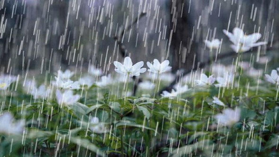 بارش های رگباری در راه خراسان رضوی
