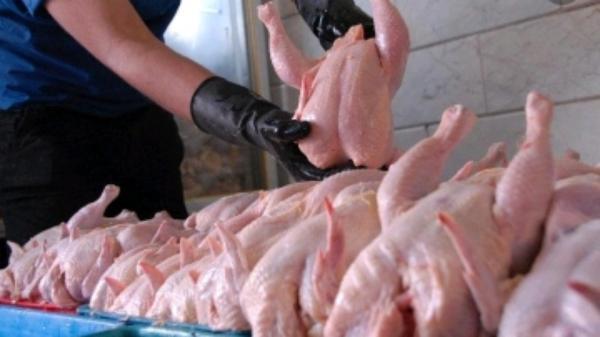 افزایش قیمت مرغ و تخم مرغ در خراسان رضوی صحت ندارد